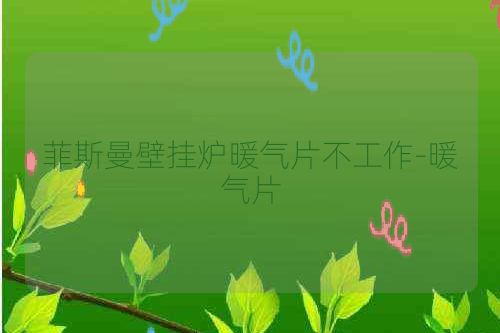 菲斯曼壁挂炉暖气片不工作-暖气片