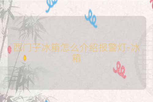 西门子冰箱怎么介绍报警灯-冰箱