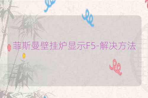 菲斯曼壁挂炉显示F5-解决方法