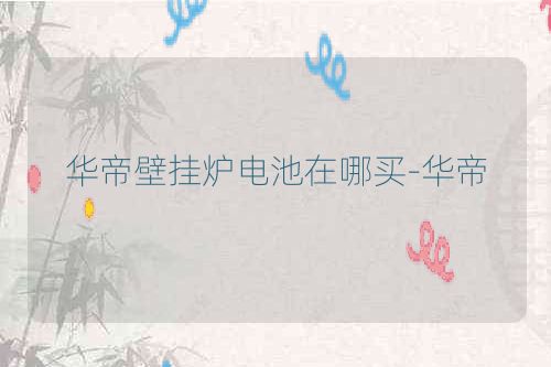 华帝壁挂炉电池在哪买-华帝