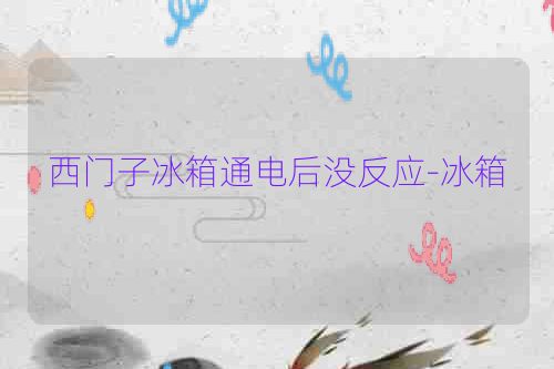 西门子冰箱通电后没反应-冰箱