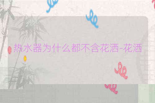 热水器为什么都不含花洒-花洒
