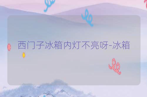 西门子冰箱内灯不亮呀-冰箱