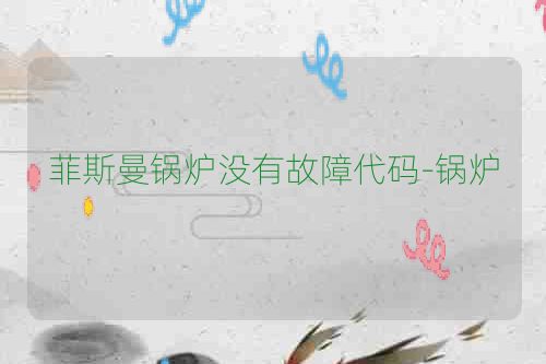 菲斯曼锅炉没有故障代码-锅炉