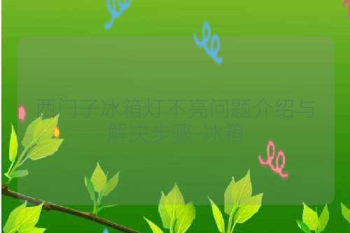 西门子冰箱灯不亮问题介绍与解决步骤-冰箱