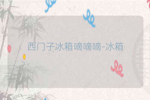 西门子冰箱嘀嘀嘀-冰箱