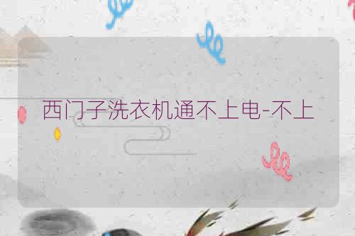 西门子洗衣机通不上电-不上