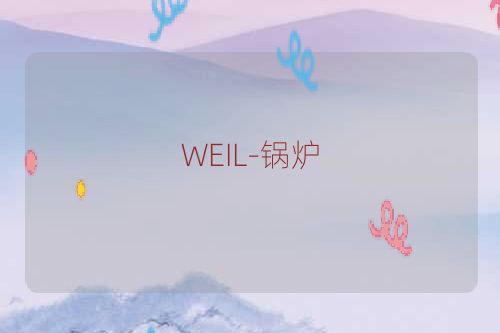 WEIL-锅炉