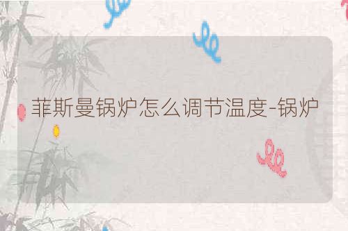 菲斯曼锅炉怎么调节温度-锅炉