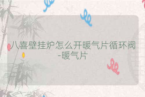 八喜壁挂炉怎么开暖气片循环阀-暖气片