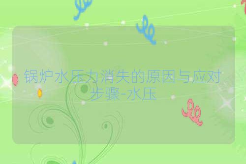 锅炉水压力消失的原因与应对步骤-水压