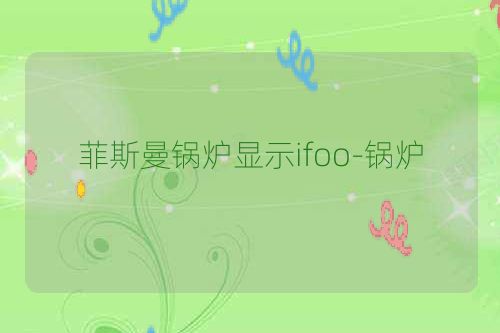 菲斯曼锅炉显示ifoo-锅炉