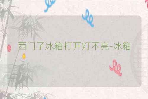 西门子冰箱打开灯不亮-冰箱