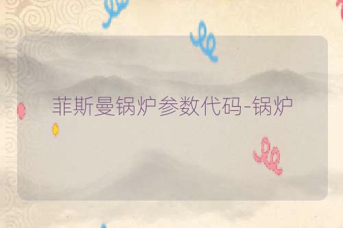 菲斯曼锅炉参数代码-锅炉