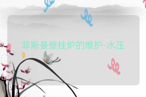 菲斯曼壁挂炉的维护-水压