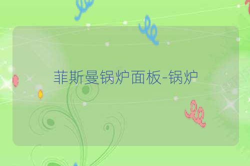 菲斯曼锅炉面板-锅炉