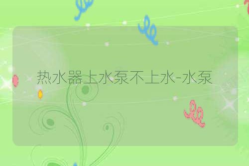 热水器上水泵不上水-水泵