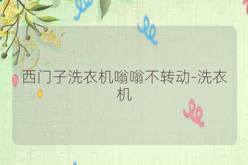 西门子洗衣机嗡嗡不转动-洗衣机