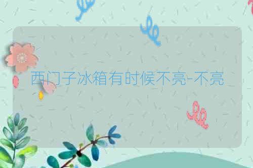 西门子冰箱有时候不亮-不亮