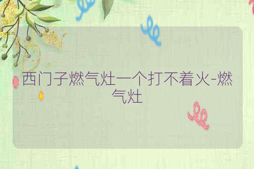 西门子燃气灶一个打不着火-燃气灶