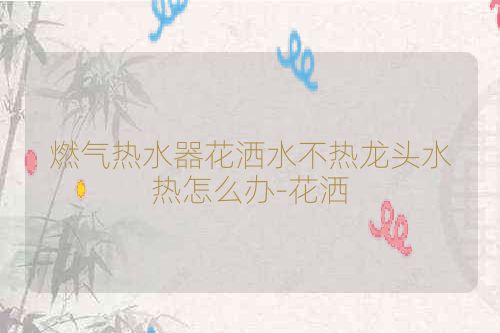 燃气热水器花洒水不热龙头水热怎么办-花洒