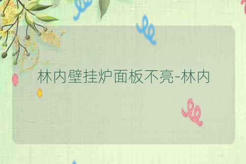 林内壁挂炉面板不亮-林内