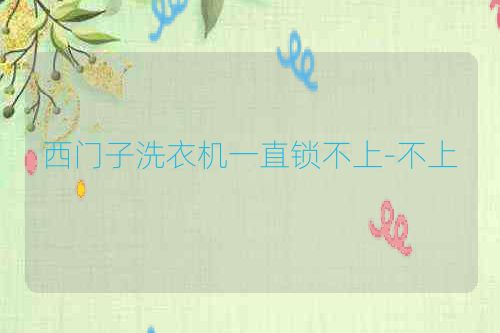 西门子洗衣机一直锁不上-不上