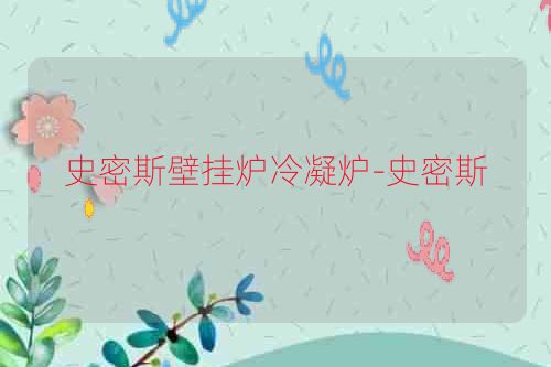 史密斯壁挂炉冷凝炉-史密斯