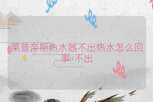 莱普帝斯热水器不出热水怎么回事-不出