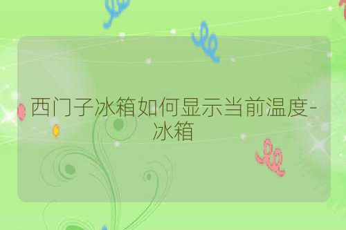 西门子冰箱如何显示当前温度-冰箱