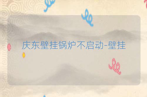 庆东壁挂锅炉不启动-壁挂