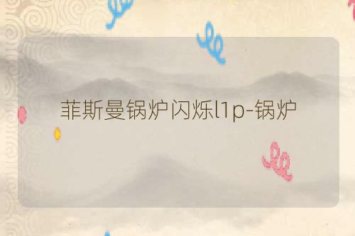 菲斯曼锅炉闪烁l1p-锅炉