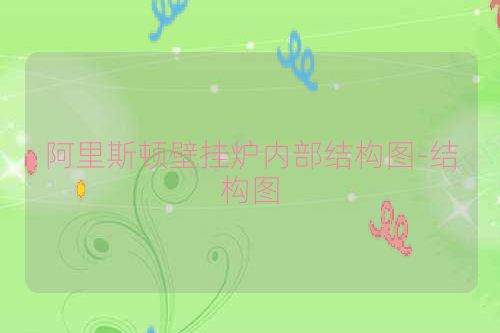 阿里斯顿壁挂炉内部结构图-结构图