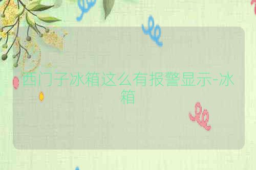 西门子冰箱这么有报警显示-冰箱