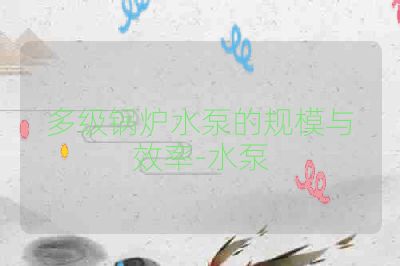 多级锅炉水泵的规模与效率-水泵