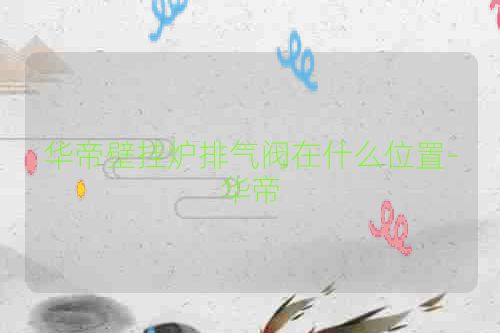 华帝壁挂炉排气阀在什么位置-华帝