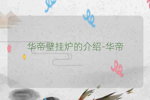 华帝壁挂炉的介绍-华帝