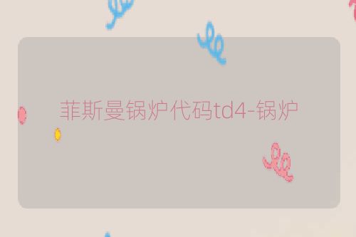 菲斯曼锅炉代码td4-锅炉