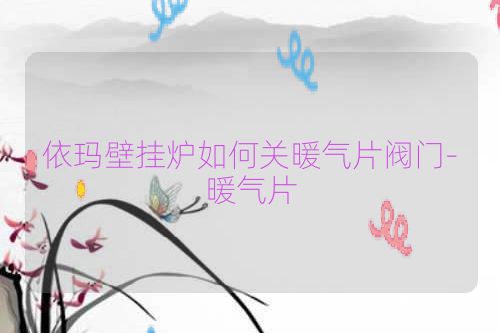 依玛壁挂炉如何关暖气片阀门-暖气片