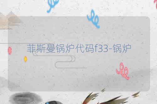 菲斯曼锅炉代码f33-锅炉