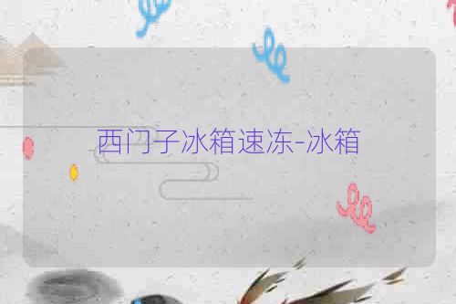 西门子冰箱速冻-冰箱