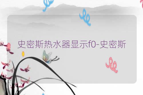史密斯热水器显示f0-史密斯