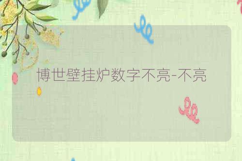 博世壁挂炉数字不亮-不亮