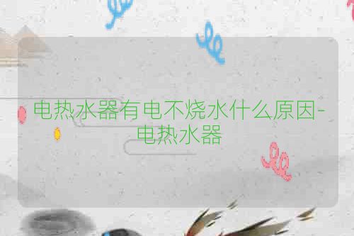 电热水器有电不烧水什么原因-电热水器