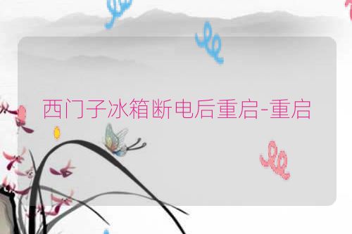 西门子冰箱断电后重启-重启