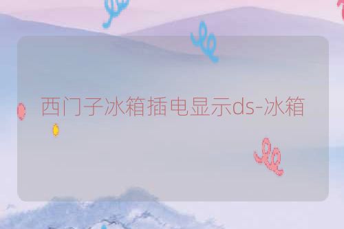 西门子冰箱插电显示ds-冰箱