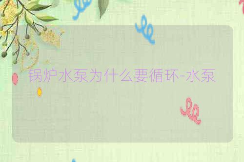 锅炉水泵为什么要循环-水泵