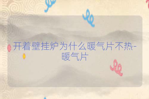 开着壁挂炉为什么暖气片不热-暖气片