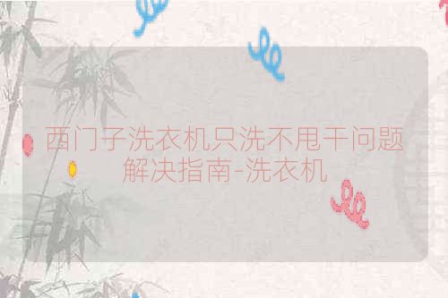 西门子洗衣机只洗不甩干问题解决指南-洗衣机