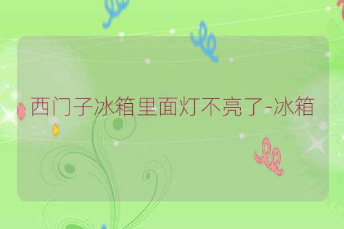西门子冰箱里面灯不亮了-冰箱